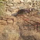 كراسي نحل للبيع