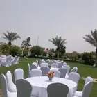 تاجير طاولات مستطيله وطاولات دائري خشب وقزاز سرفس