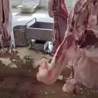 ذبائح فاخره نص ذبيحه أو كامل ثلاجة أو صادقه أو نذر أو وليمة