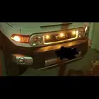 ليد رابتر