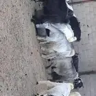 معزا للبيع