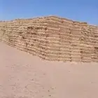 تبن قمح جديد شد 85