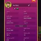 كونزات لودي ستار للبيع
