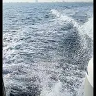 رحلات بحرية جزيرة بياضة