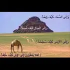 إمام مسجد أبحث عن مسجد أئم الناس