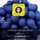 بخور دوسري ملكى عرايسي عود مستكي معسل جيزاني