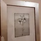 مناظر جميله شبه جديده عدد 2 فضي و1ذهبي