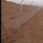 توريدوتركيب الشبوك