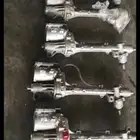 دودة دركسيون جينسس بجميع انواعه