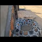 أحواض جلسات بوابات عقد بالحجر الطبيعي ممرات في غايه الجمال