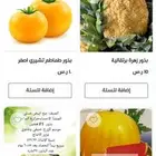 بذور زراعية محلية منوعة