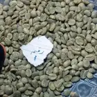 صافي خولاني يمني