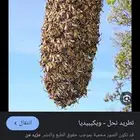 مخطط الملك فهد