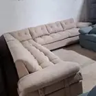 كنبات حرف ال امريكي