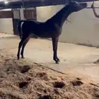 الرياض طريق الخرج - الزويليات