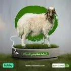 لحم نعيمي جده- ذبايح نعيم - نعيمي بلدي - خروف نجدي كشميري