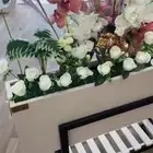 احواض زراعيه ومركن فيبر جلاس