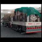 دينه مشوار دينا مشوار دنه مشوار دينه ايسوزو دانه مشوار عفش