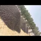 توريد زفلت مقشور