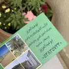 نخل واشنطن ونخل عربي واشجارجهنم توصيل وغرس وضمان جميع لنواع