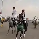 تاجر خيول وسيسي وجمالي اليوم الوطني في جده وخرج جده