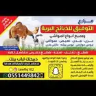 ذبايح لباب بيتك حريات وسواكني وتيوس عوارض