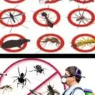 شركة مكافحة حشرات بجدة