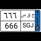 لوحه مميزه 666