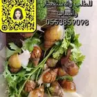 حلزون أفريقي كل الأعمار و عرض خاص لطلاب المدارس ومشاريعهم