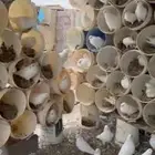 موجود حمام فرنسي سوبر جامبو