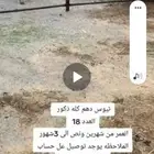 تيوس للبيع ب محايل عسير والتوصيل الرياض مجاني