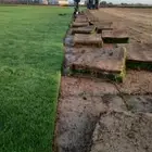 ثيل طبيعي سي 2000 درجه اولى صافي ونقي على الشرط شكل جمالي وخ