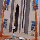 نخيل واشنطونيا ملكي على الضمان من اجود انواع نخيل الزينه
