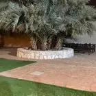 احواض زراعية  مباني حجر