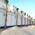 توريد وتركيب نخل واشنطن نخل عربي