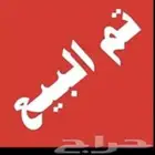 زيبرا هولندي
