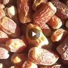 تمر صقعي فاخر