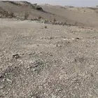 أرض للبيع الدرب الكدره شمال مصنع السرحان الاول القومه