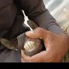 تم البيع خراج الموقع