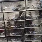 مسجلات بازعي اصلي وكاله