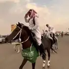 يوجد لدينا خيول وجمال الايجار وسيسي
