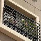 شبابيك حديد حمايه