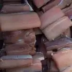 لخم قريني طارج من المكلا