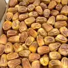 للبيع تمر سكري مفتل فاخر