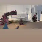 كوشات الجوف  جامعه الجوف تنسيق حفلات الجوف دليل الجوف الجوف_