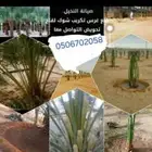 مقاول لجميع اعمال النخيل والشبوك