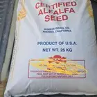 بذور برسيم كاف 101 امريكي