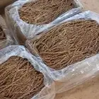للبيع لقاح نخيل