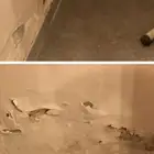 تقرير أضرار ل الفلل والوحدات والشقق المباعة عن طريق البنوك
