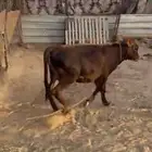 خط الرديف قريب من محطة اكسترا